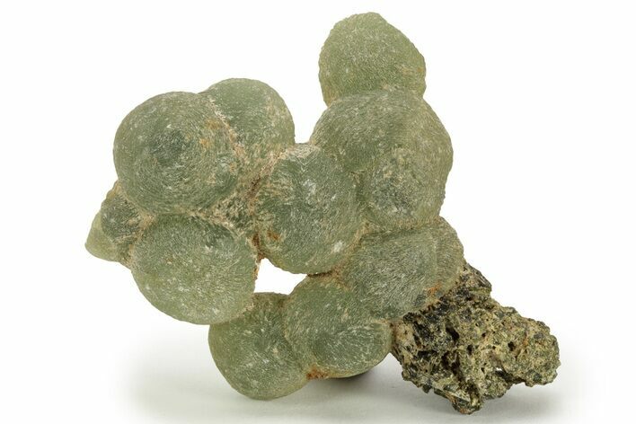 Botryoidal Prehnite and Epidote - Mali #220460